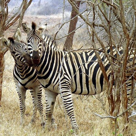 Ndlovu Log Home Dinokeng Klipdrift Ngoại thất bức ảnh