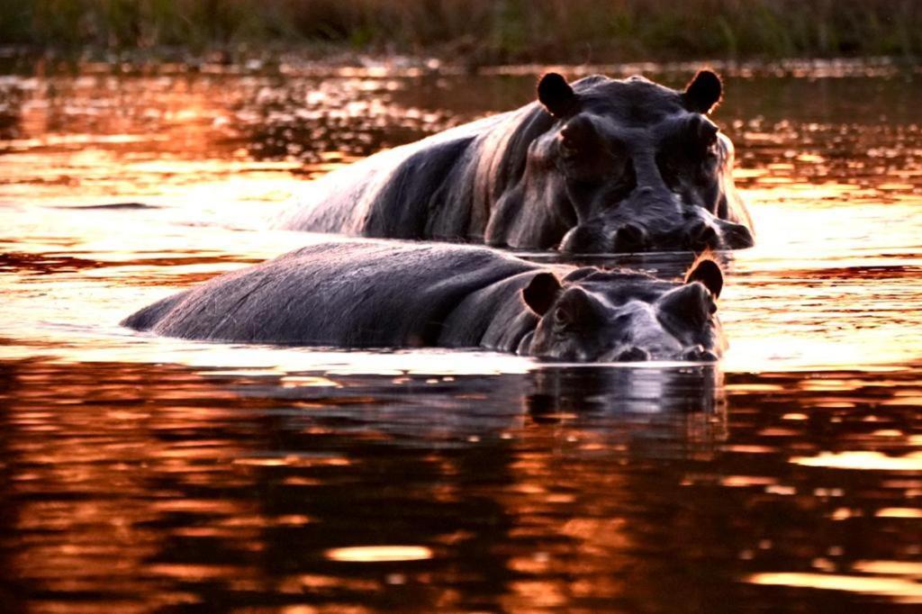 Ndlovu Log Home Dinokeng Klipdrift Ngoại thất bức ảnh